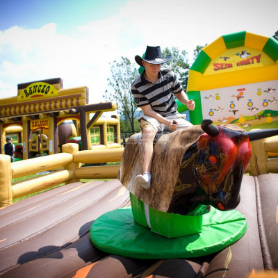 Elektrický rodeo býk