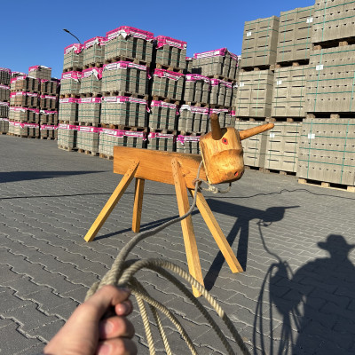 Lasování  - western