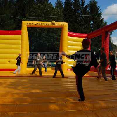 Multifunkční aréna