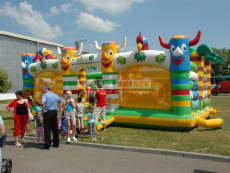 pronájem skákacího hradu