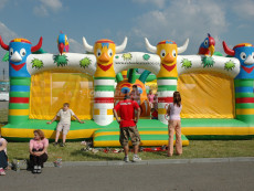 pronájem atrakce Jungle