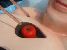 simulátor k pronájmu