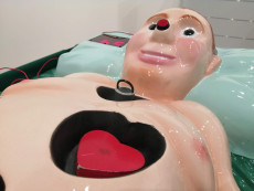 Pronájem simulátoru Den zdraví