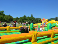 westernovy-byk-atrakce