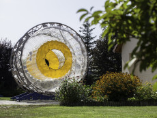 hamster-wheel-pronajem -atrakce-na-festival-pronajem