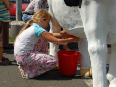 trenažer dojení kravičky