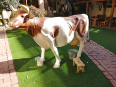 pronájem trenažeru dojení