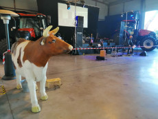 Pronájem trenažeru krávy