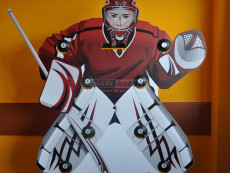 Hokej - lovec světla