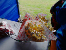 Pronájem popcornového stroje Brno