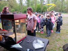 Pujčovna popcornového stroje Brno