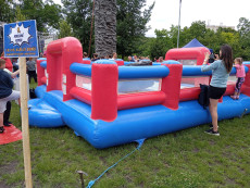 Pronájem rodeo býka hokej