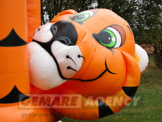 Skákací hrad - TYGR