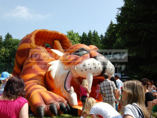 Nafukovací skluzavka Tygr