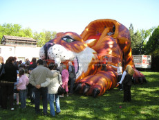 Nafukovací skluzavka Tygr